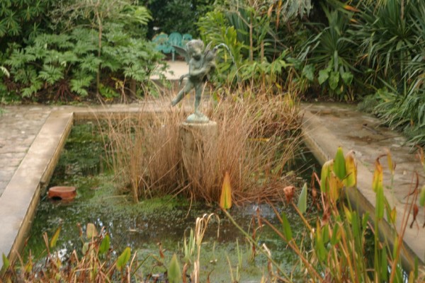 Lost Gardens of Heligan: Photo 8 (IMG_2946.JPG, 600 x 400, 88.0K) 