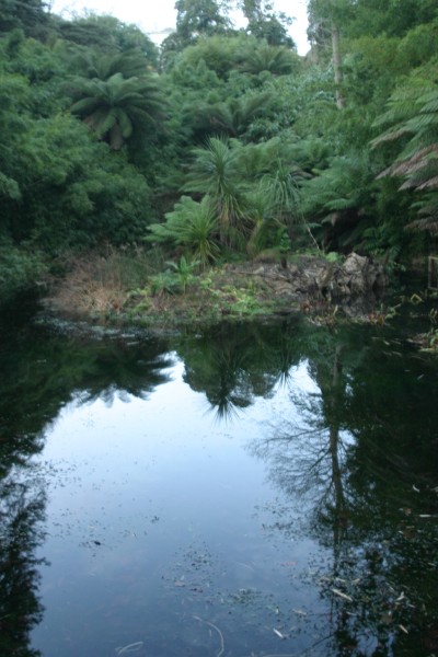 Lost Gardens of Heligan: Photo 28 (IMG_2955.JPG, 400 x 600, 68.0K) 
