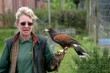 Album: Cornish Birds of Prey (IMG_1091.JPG) 