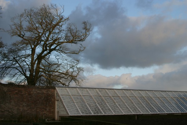 Lost Gardens of Heligan: Photo 6 (IMG_2940.JPG, 600 x 400, 64.0K) 