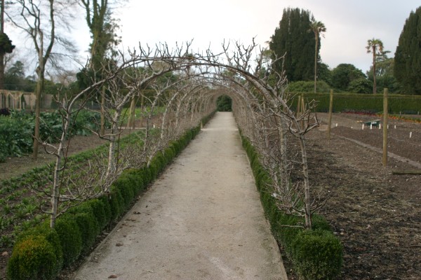 Lost Gardens of Heligan: Photo 25 (IMG_2947.JPG, 600 x 400, 84.0K) 