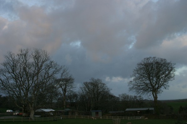 Lost Gardens of Heligan: Photo 26 (IMG_2951.JPG, 600 x 400, 48.0K) 