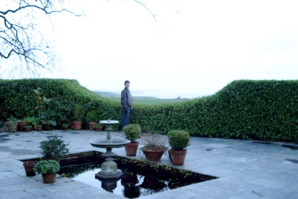 Lost Gardens of Heligan: Photo 15 (IMG_2959.JPG, 600 x 400, 56.0K) 